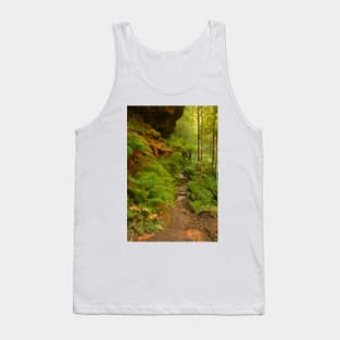 Canyon walk at Blackheath Tank Top